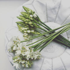 Turquoise  Pouf Leather